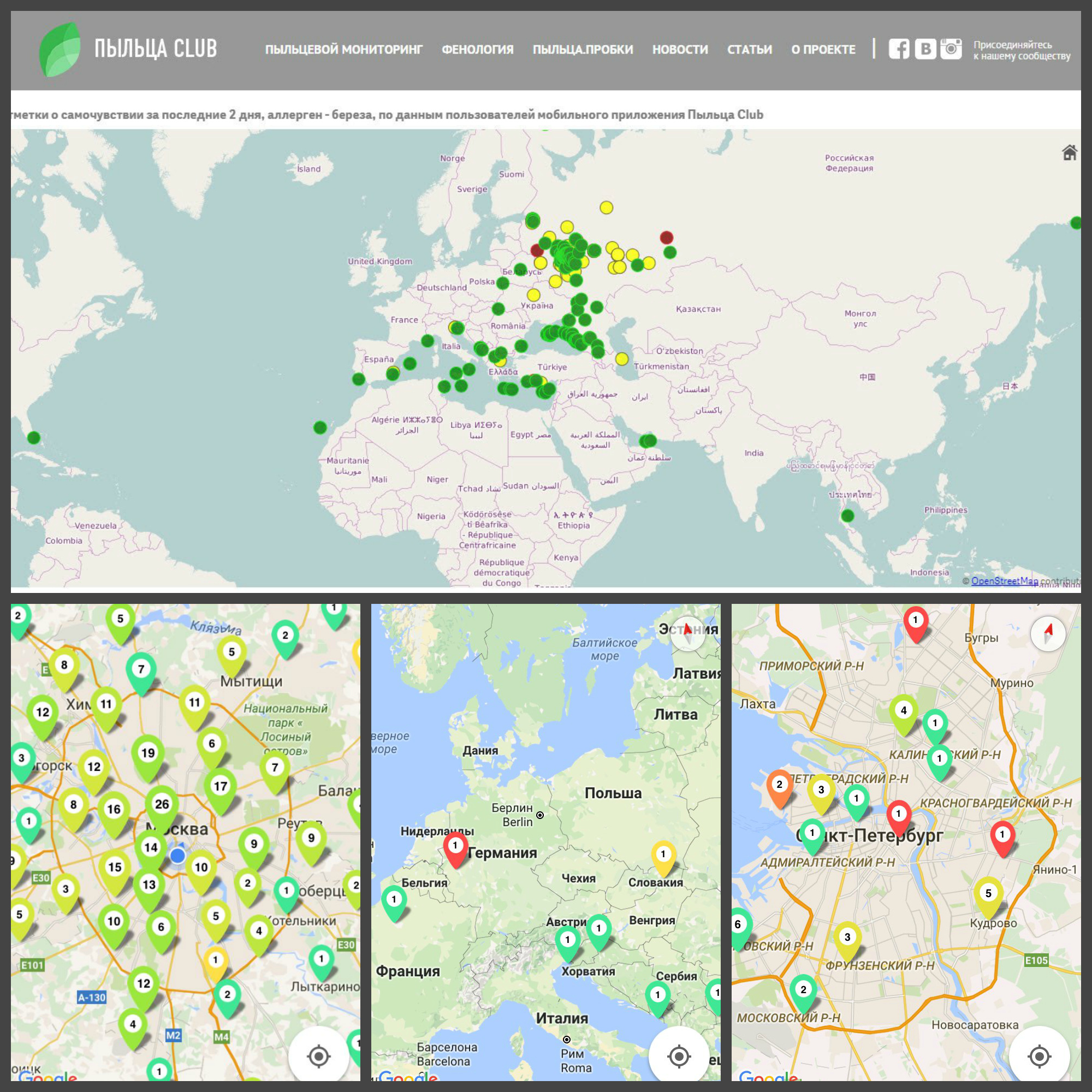 Карта пыльцы березы. Карта пыльцы для аллергиков. Карта пыльцы Москва. Карта распространения березовой пыльцы. Мониторинг пыльцы в Москве.